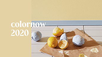 Color Now 2020